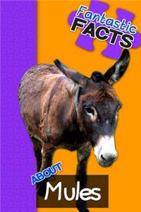 Fantastic Facts about Mules: Illustrated Fun Learning for Kids