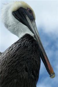 Louisiana State Bird - Brown Pelican Journal