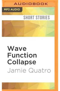 Wave Function Collapse