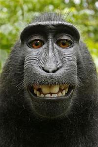 Celebes Black Crested Macaque Journal