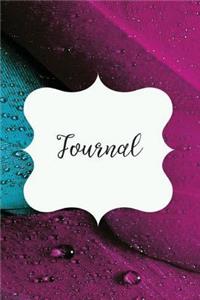 Feathers Journal