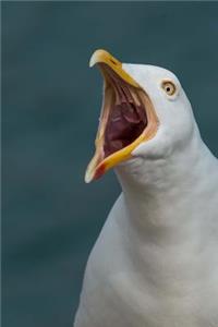 Shocked Seagull Saw What You Did Bird Journal