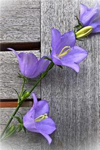 Charming Purple Bellflowers Against a Weathered Fence Journal