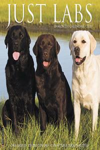 Just Labs 2020 Wall Calendar (Dog Breed Calendar)