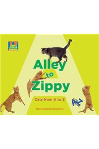 Alley to Zippy