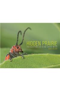 Hidden Prairie