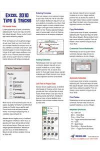 Excel 2010 Laminated Tip Card