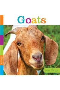 Seedlings: Goats