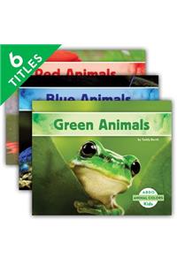 Animal Colors (Set)