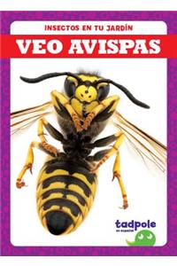 Veo Avispas (I See Wasps)