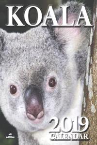 Koala 2019 Calendar (UK Edition)