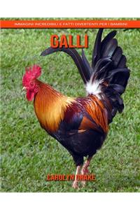 Galli