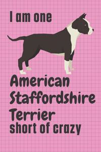 I am one American Staffordshire Terrier short of crazy