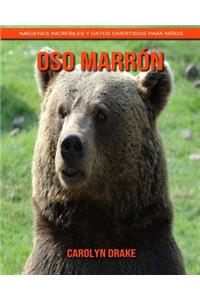 Oso marrón