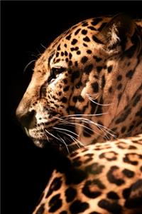 Save The Leopard 2020 Weekly Monthly Planner