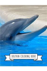 Dolphin Coloring Book