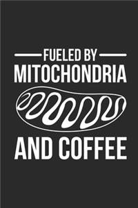 Fueled By Mitochondria