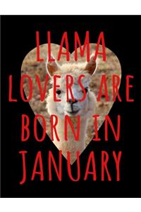 Llama Lovers are Born In January