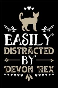 Easily Distracted By Devon Rex