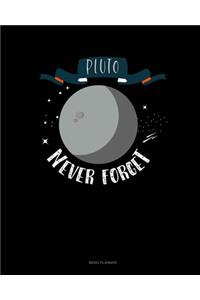 Pluto Never Forget