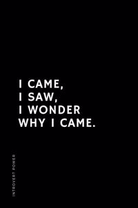 INTROVERT POWER I came I saw I wonder why I came