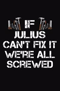 If Julius Can't Fix It We're All Screwed