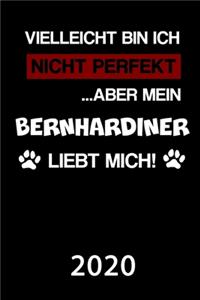 Bernhardiner 2020