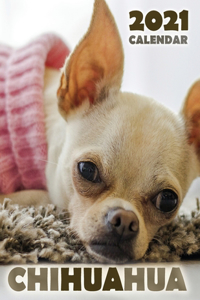 Chihuahua 2021 Calendar