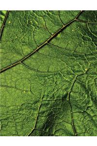Leaf Veins Sketchbook