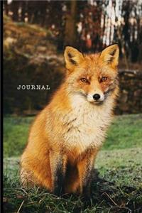 Journal