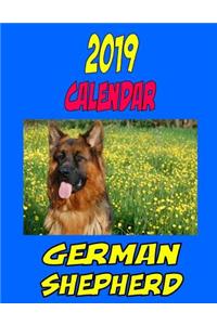 2019 Calendar German Shepherd