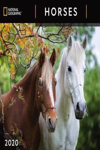 Cal 2020-National Geographic Horses Wall