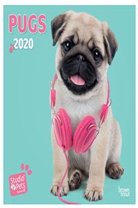 PUGS 2020 MINI WALL CALENDAR STUDIO PETS