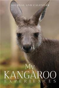 My Kangaroo Experiences