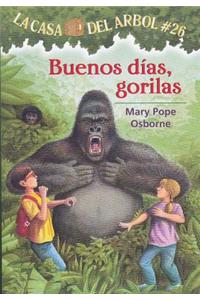 Buenos Dias, Gorilas