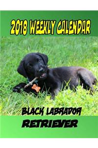 2018 Weekly Calendar Black Labrador Retriever