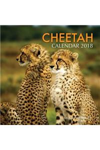 Cheetah Calendar 2018