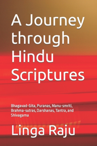 Journey through Hindu Scriptures