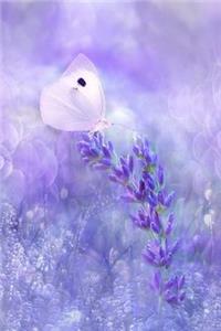 Butterfly Resting on Violets Notebook