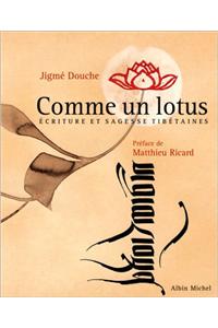 Comme Un Lotus