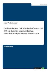 Grobstrukturen der Standardsoftware SAP R/3 am Beispiel einer einfachen funktionsübergreifenden Prozesskette