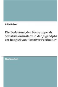 Die Bedeutung der Peergruppe als Sozialisationsinstanz in der Jugendphase am Beispiel von 