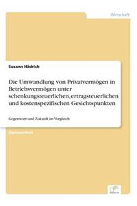 Die Umwandlung von Privatvermögen in Betriebsvermögen unter schenkungsteuerlichen, ertragsteuerlichen und kostenspezifischen Gesichtspunkten