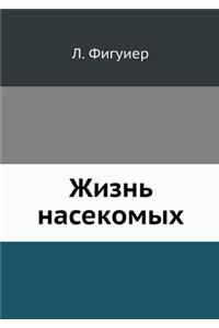Жизнь насекомых