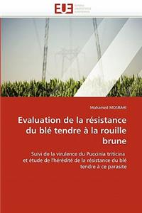 Evaluation de la Résistance Du Blé Tendre À La Rouille Brune