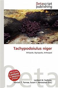 Tachypodoiulus Niger