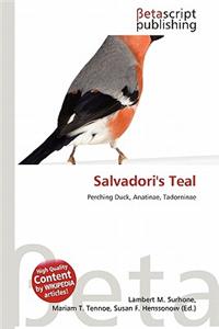 Salvadori's Teal