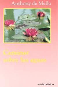 Caminar sobre las aguas