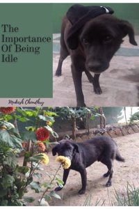 The Importance of Being Idle