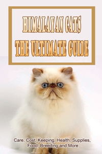 Himalayan Cats The Ultimate Guide